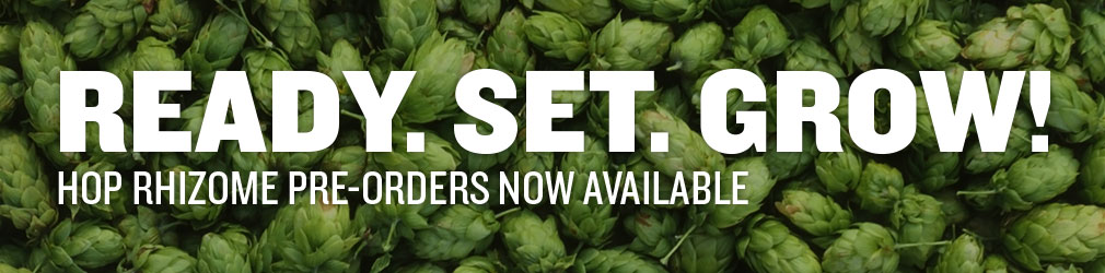 Grow Your Own Hops with Hop Rhizomes from Northern Brewer