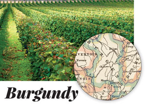 master vintner burgundy wine